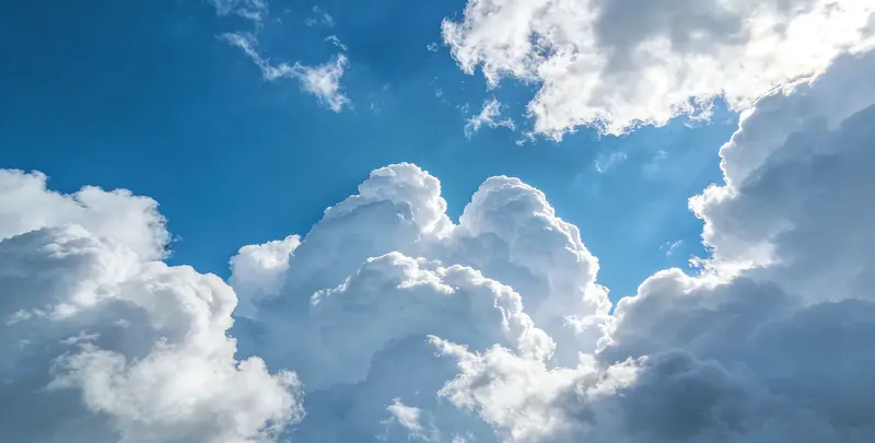 肺癌11基因检测组织版图2