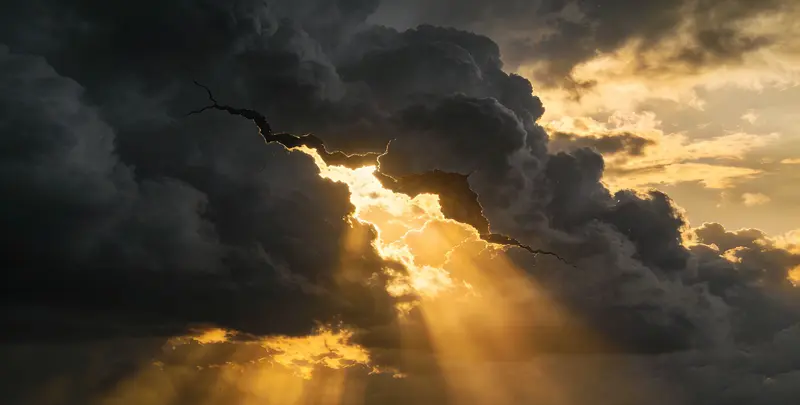 梧州肺癌靶向120基因检测（组织）图片1