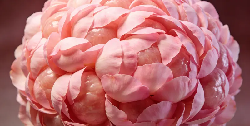 梧州BRCA1/2乳腺癌卵巢癌基因检测图片1